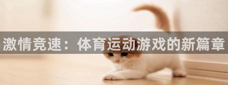 yy易游官网下载平台注册流程图：激情竞速：体育运动游