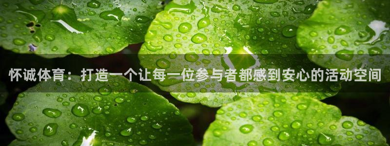 yy易游官网下载招商：怀诚体育：打造一个让每一位参与者都感到
