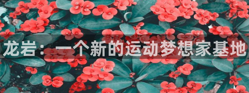 yy易游官方正版app集团官网首页：龙岩：一个新的运动梦想家