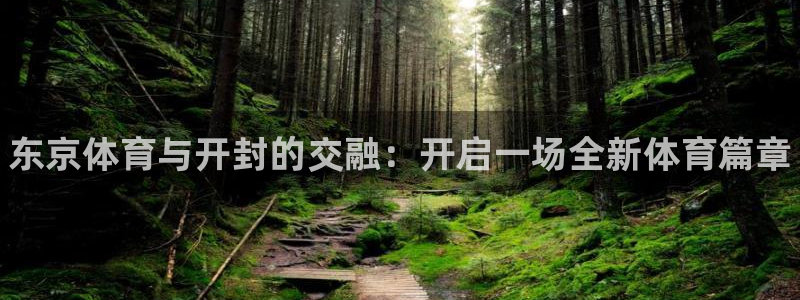 yy易游官方正版app开户：东京体育与开封的交融：开启一场全