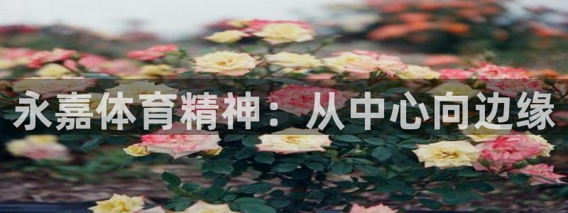 yy易游官网下载招商电话地址是多少：永嘉体育精神：从中心向边
