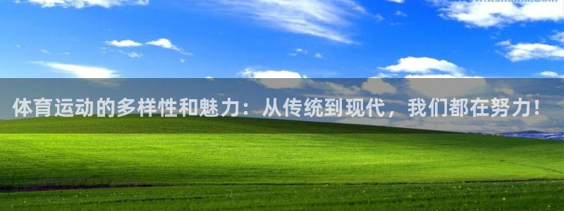 yy易游官方正版app官网：体育运动的多样性和魅力：从传统到