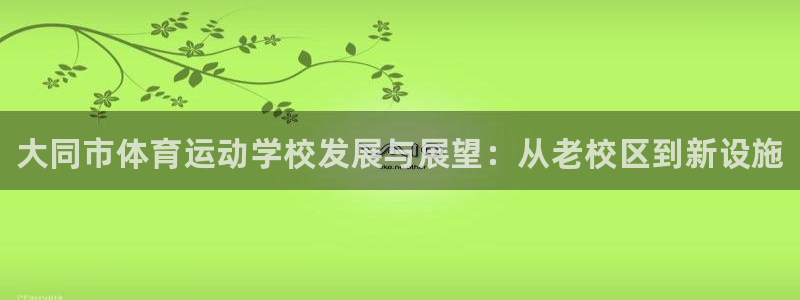 yy易游官方正版app新能源：大同市体育运动学校发展