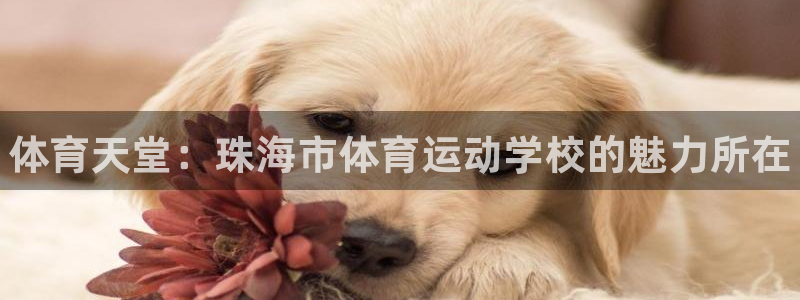 yy易游官网下载招商电话号码是多少啊：体育天堂：珠海