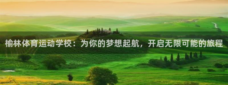 yy易游官方正版app娱乐是那个系列的台子：榆林体育