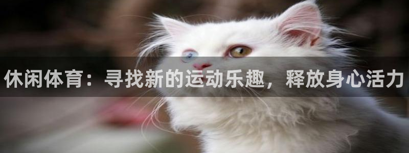 yy易游官方正版app科技：休闲体育：寻找新的运动乐趣，释放