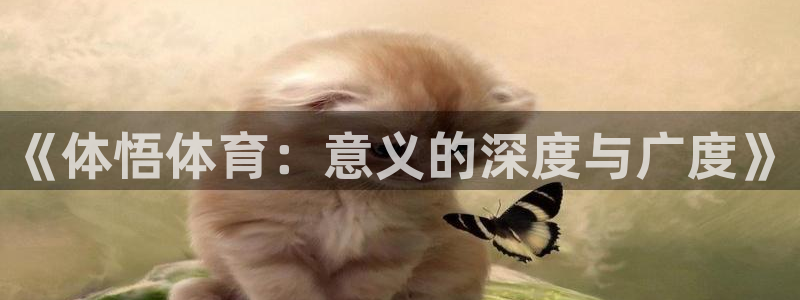 yy易游官方平台体育：《体悟体育：意义的深度与广度》