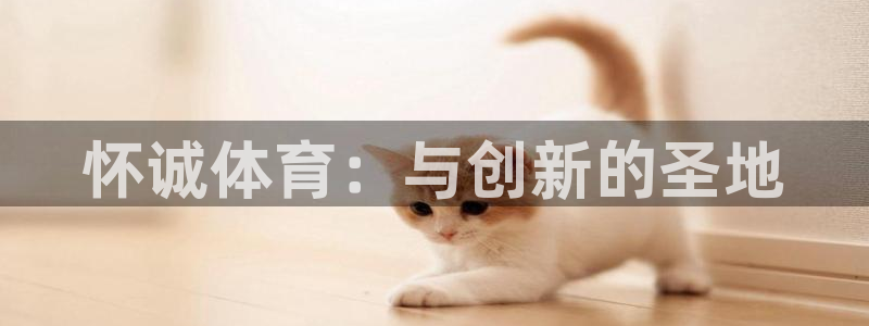 德国yy易游官方正版app集团