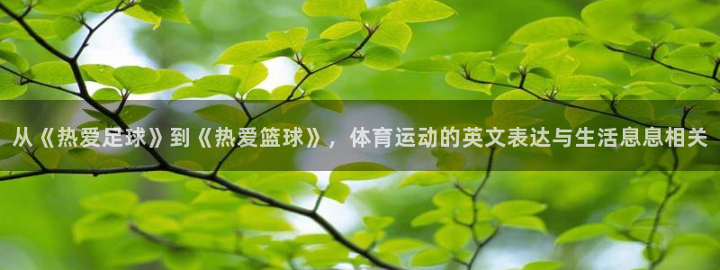 yy易游官网下载平台假的吗是真的吗吗