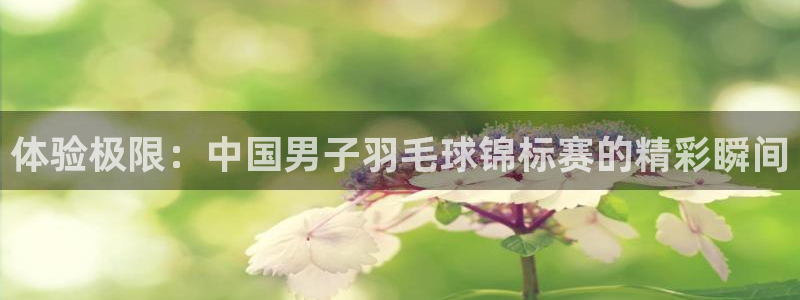 yy易游官方正版app神州：体验极限：中国男子羽毛球锦标赛的