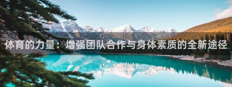 yy易游官方正版app集团官网网址