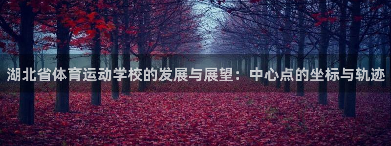 yy易游官方正版app官方：湖北省体育运动学校的发展