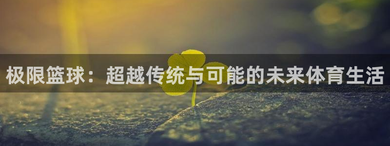 yy易游官方正版app娱乐网站：极限篮球：超越传统与