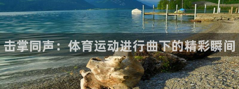 yy易游官方正版app代理：击掌同声：体育运动进行曲下的精彩