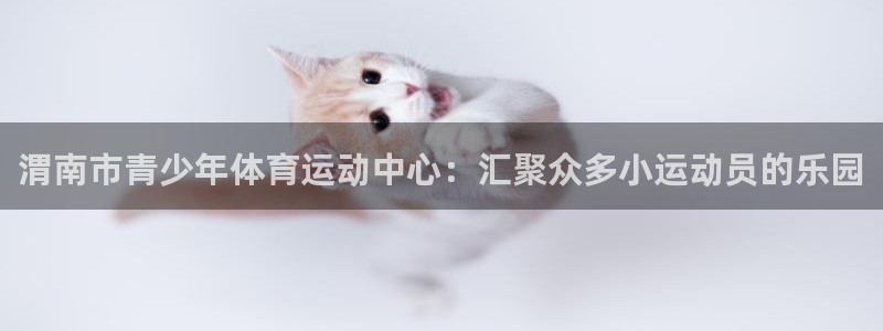 yy易游官方正版app五金厂：渭南市青少年体育运动中心：汇聚