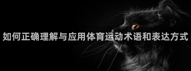 yy易游官网下载招商电话号码是多少啊：如何正确理解与应用体育