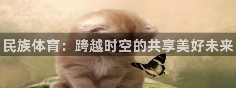 yy易游官网下载招商电话：民族体育：跨越时空的共享美好未来