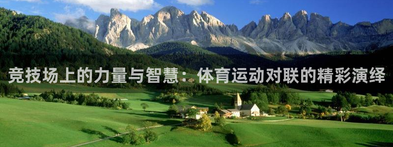 yy易游官方正版app集团简介：竞技场上的力量与智慧：体育运